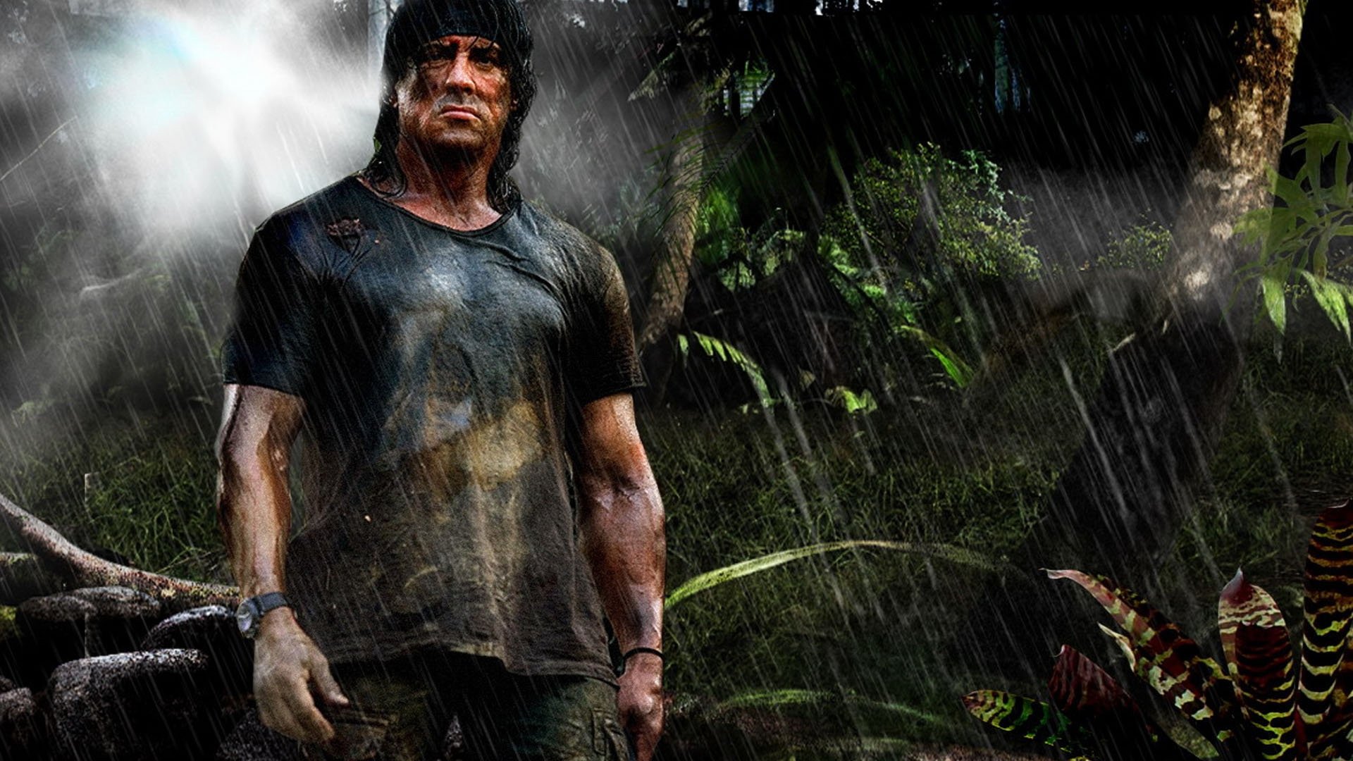 Rambo 4: John Rambo (2008)