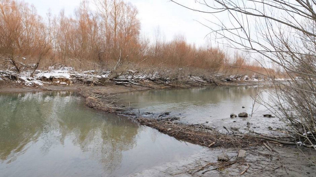 Szigetköz - The Inland Delta of the River Danube (2013)
