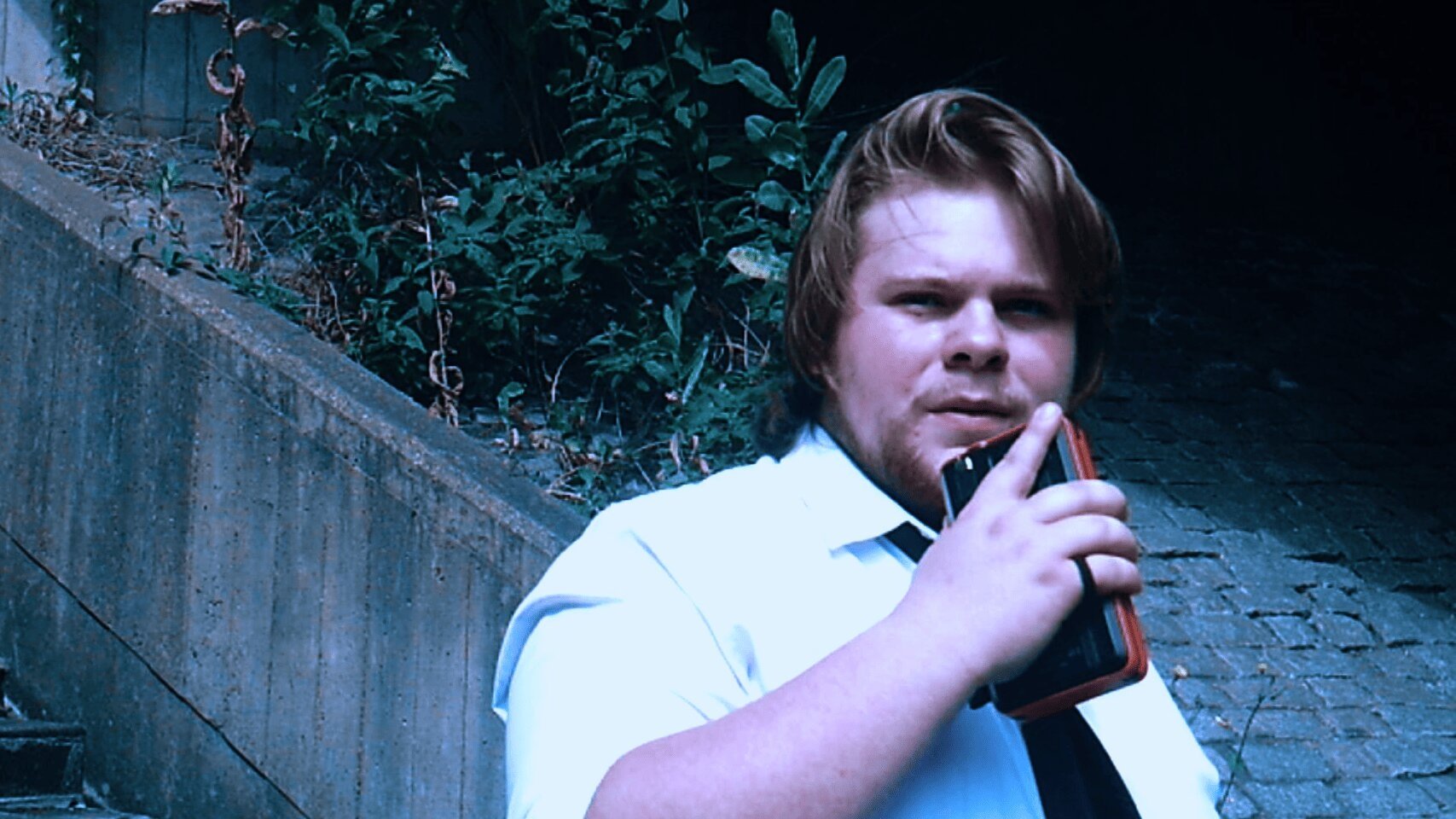 The Terror of Whippendell Wood: Part 4: The Report (2024)