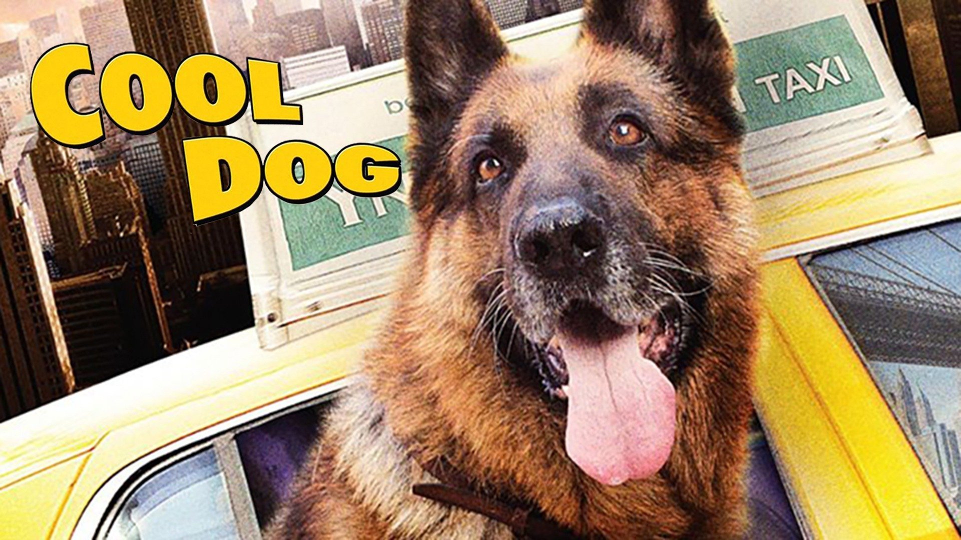 Cool Dog (2010)