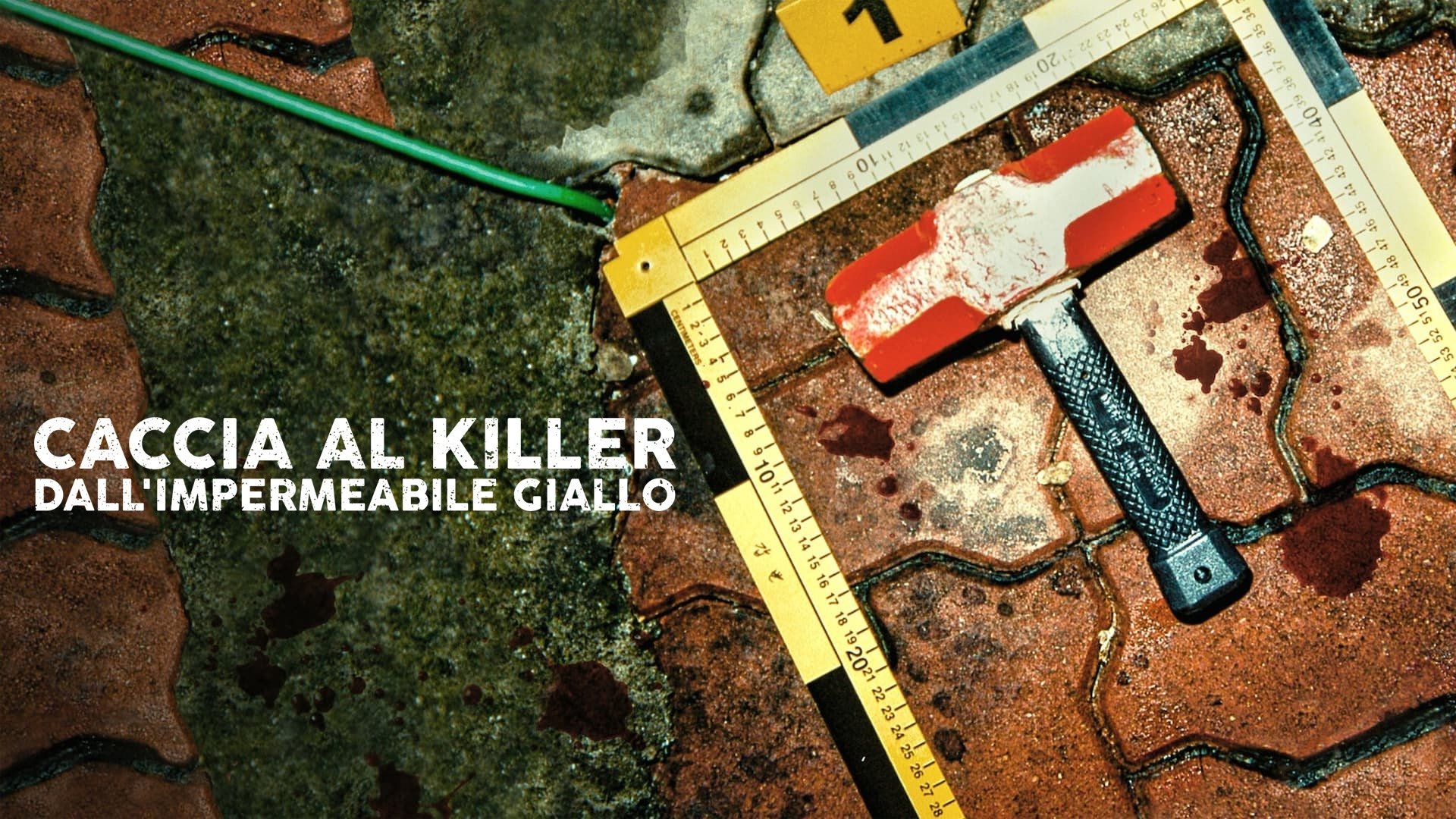 The Raincoat Killer: Chasing a Predator in Korea