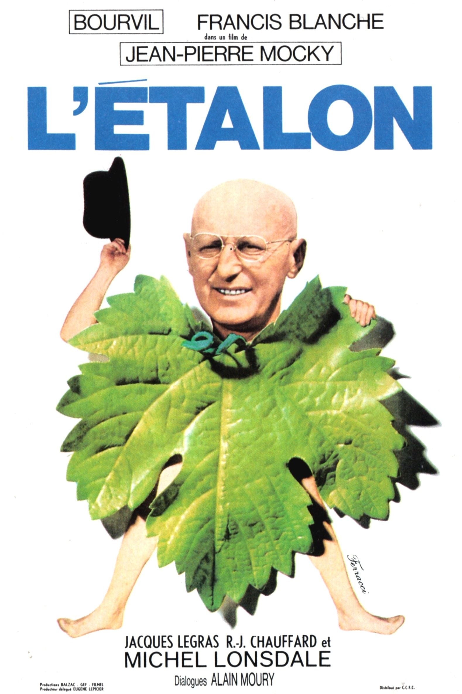 Affiche du film L'Étalon 12355