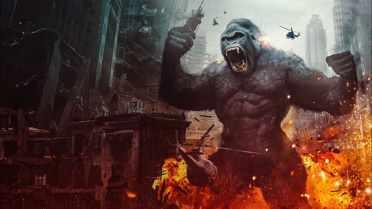 Konga TNT (2020)