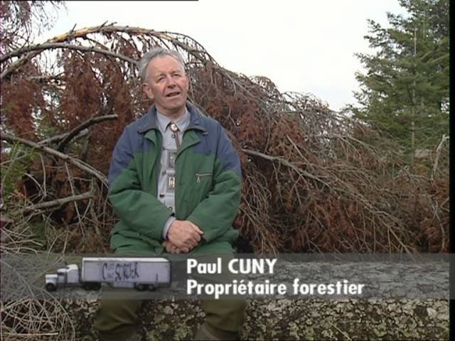 C'est pas sorcier - Bois : hêtre ou ne pas hêtre