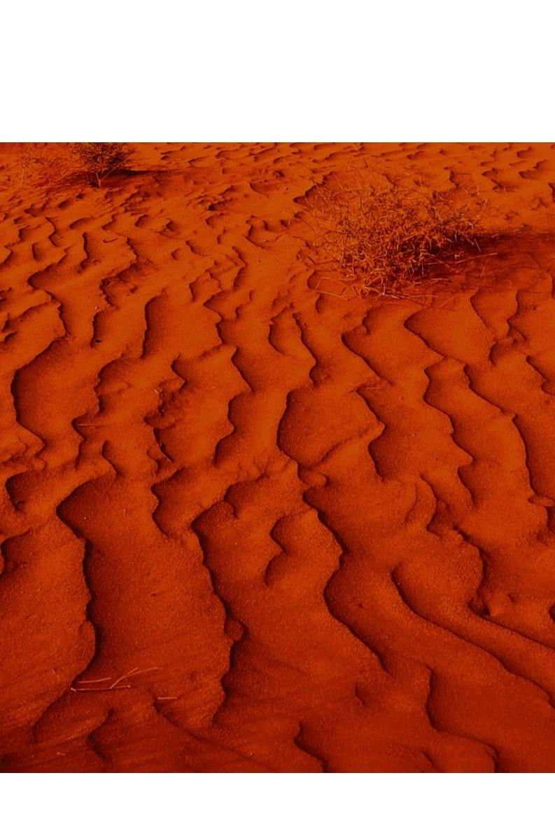 Exile & Desertification