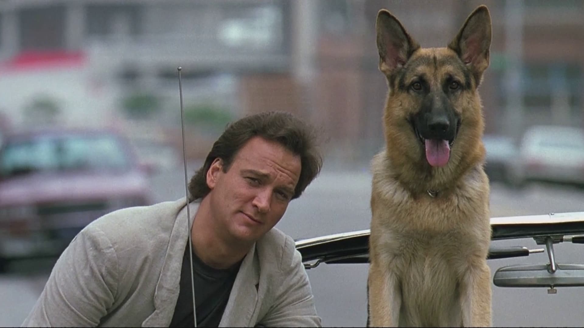 Hund og mand imellem (1989)