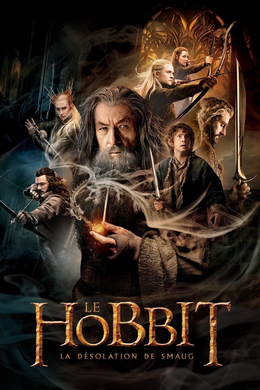 Affiche du film Le Hobbit : la désolation de Smaug (version longue) 167563