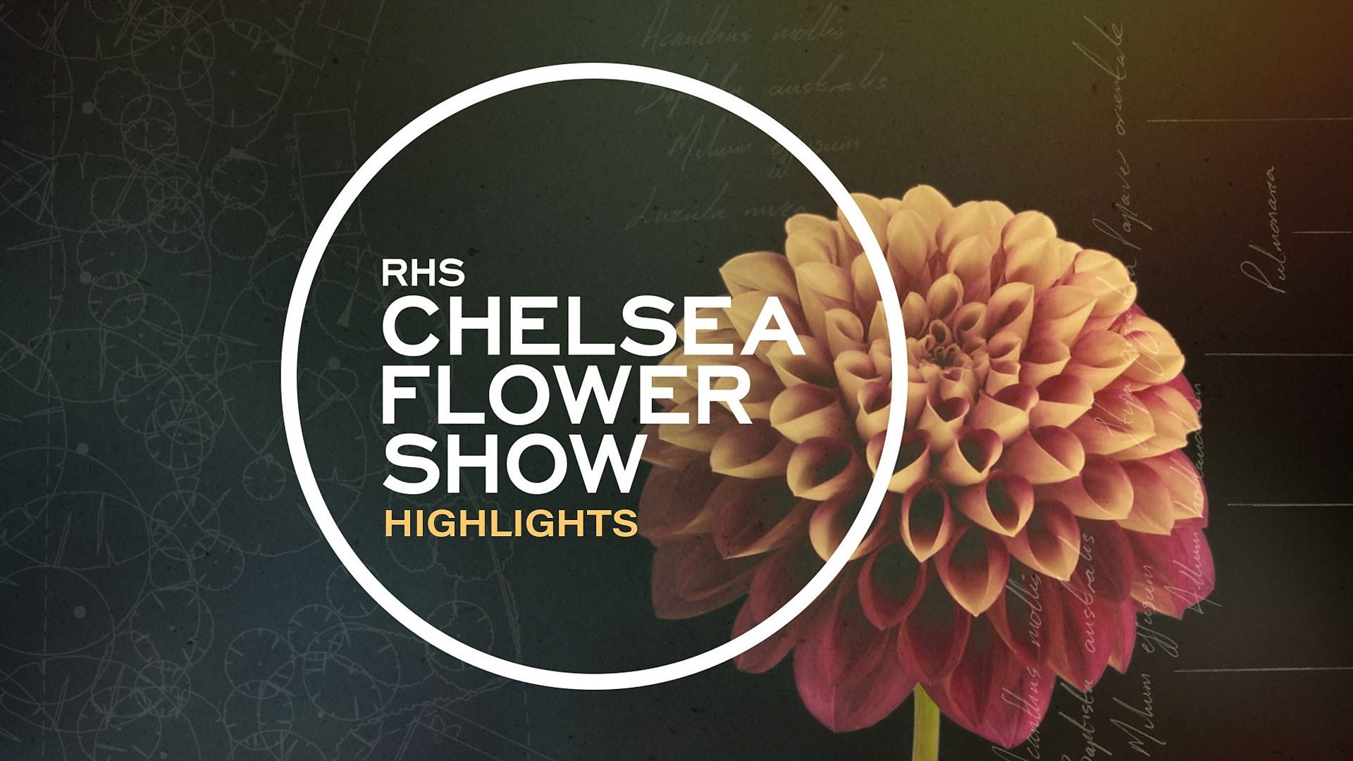 RHS Chelsea Flower Show - Épisode 13