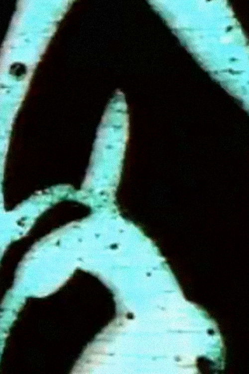 The Light Touch Dust Nebula