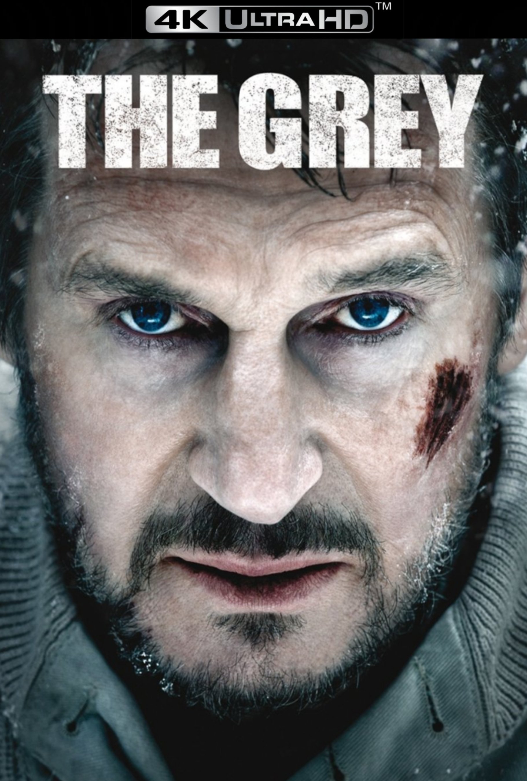 The Grey