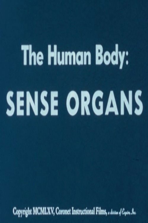 Poster for The Human Body: Sense Organs