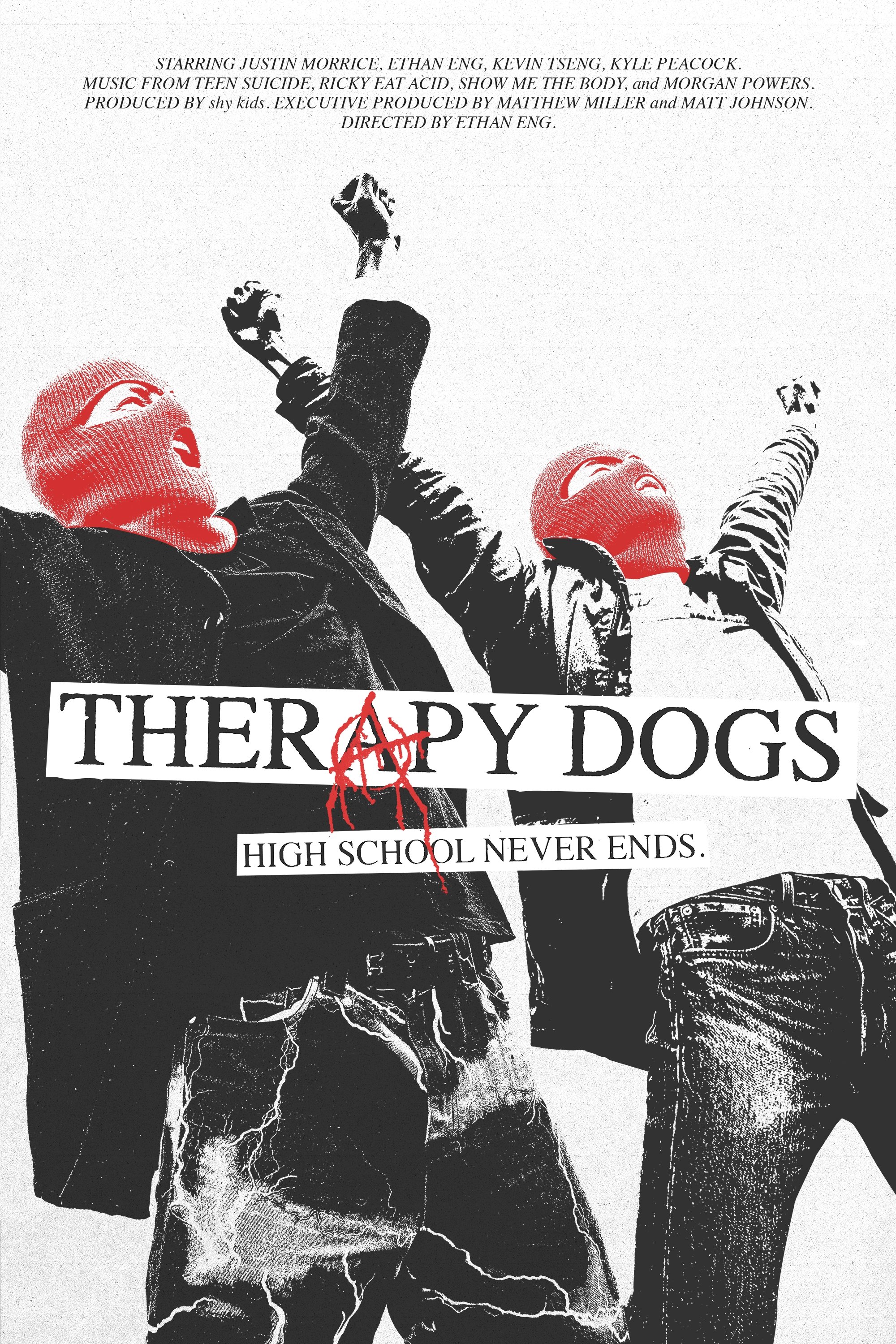 Therapy Dogs