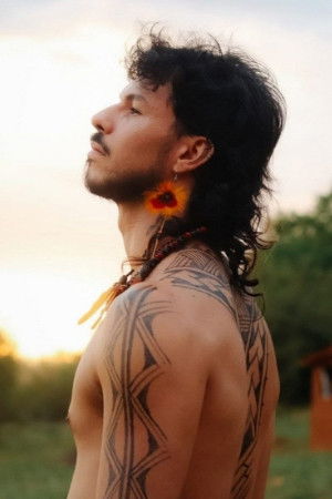 et billede af Álefe Passarin