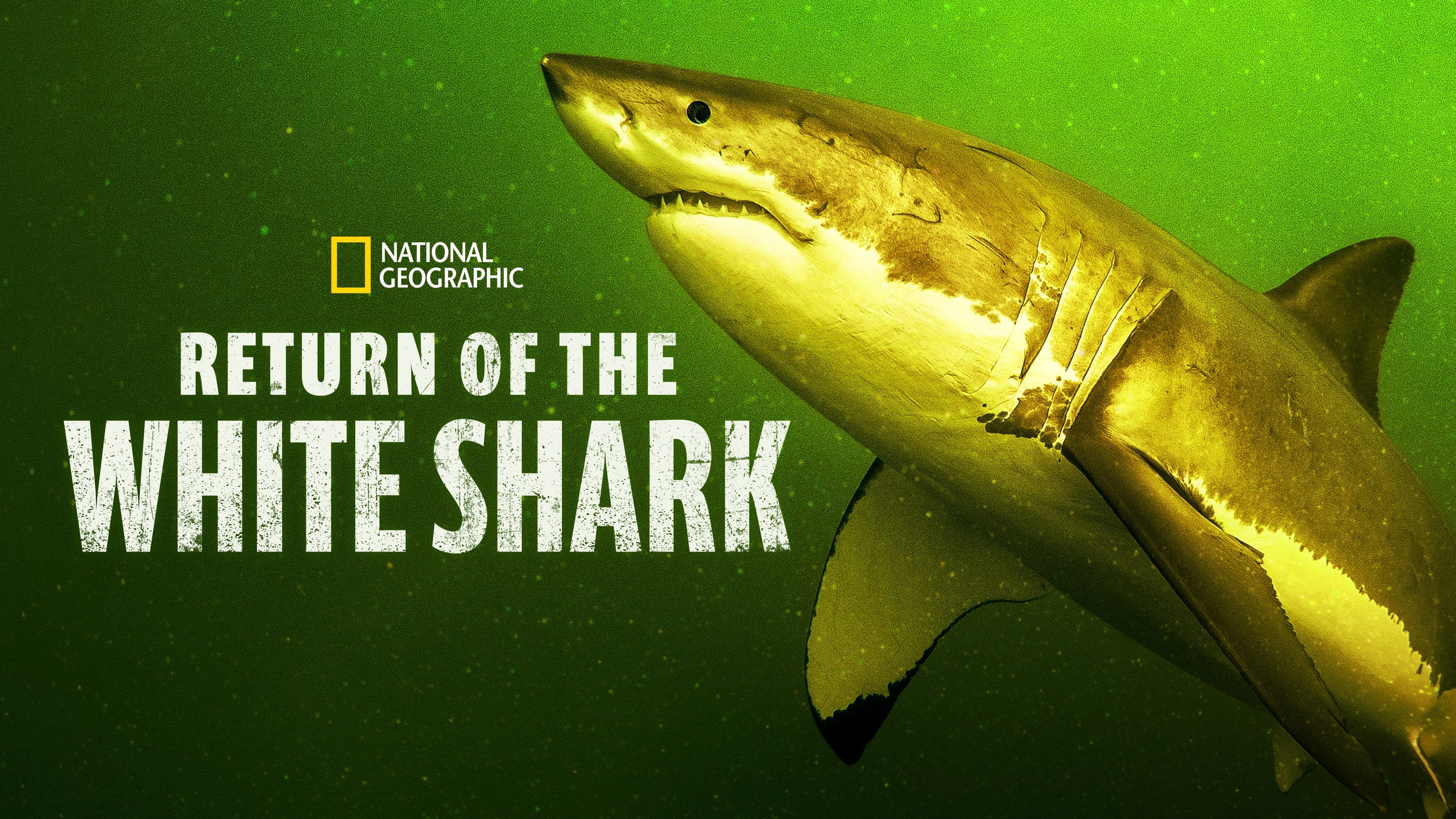 Return of the White Shark (2023)