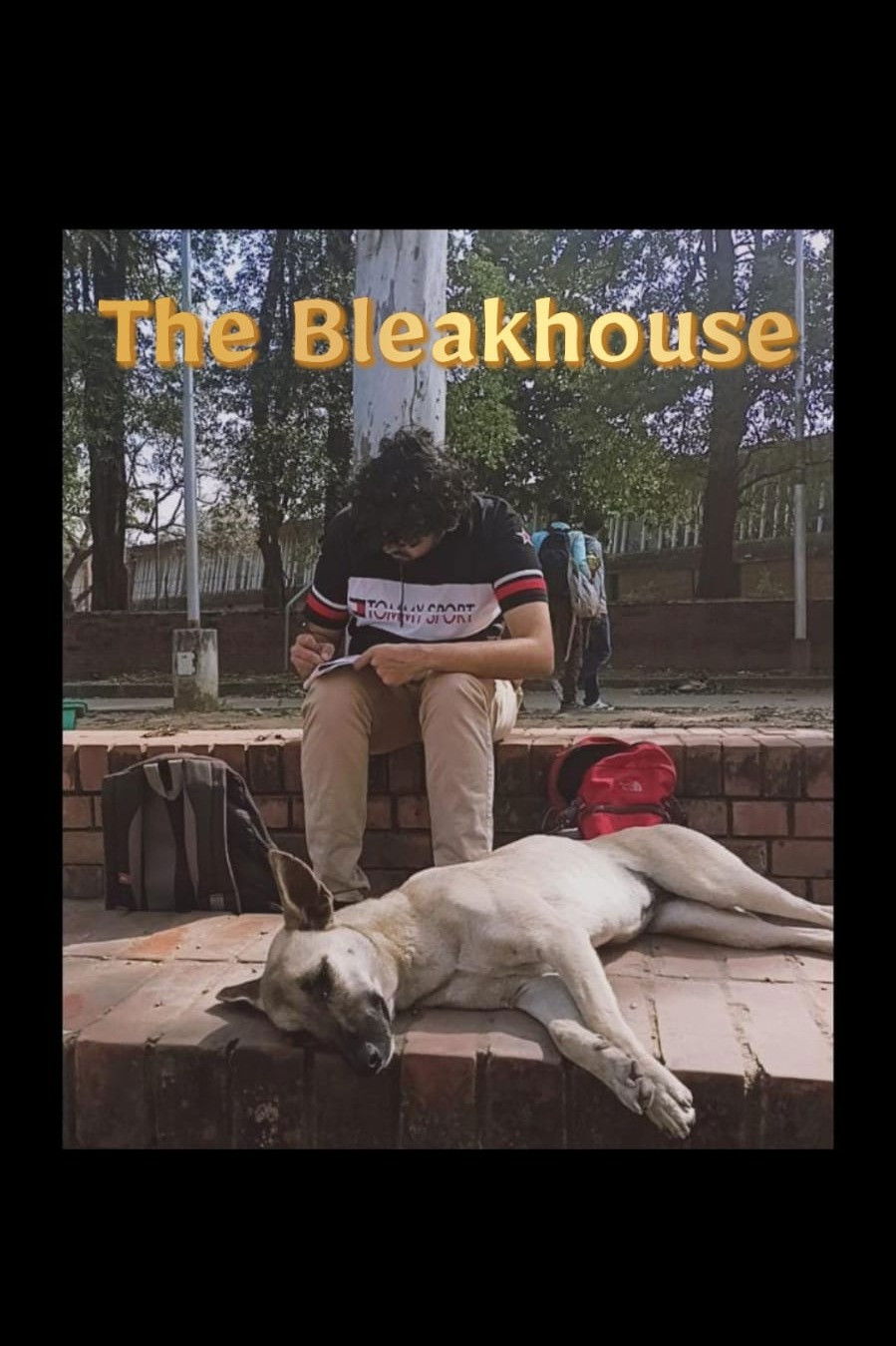 The Bleakhouse - Posters — The Movie Database (TMDB)