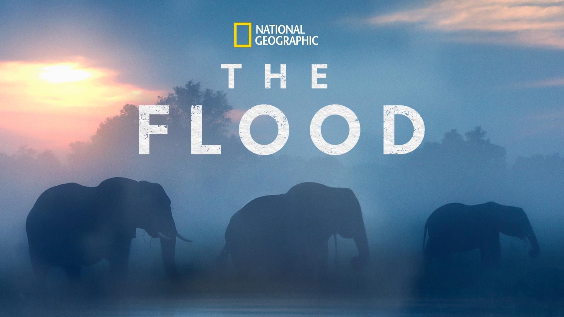 The Flood (2018)