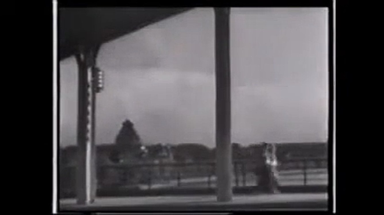 Flower Picking Diary (1939)