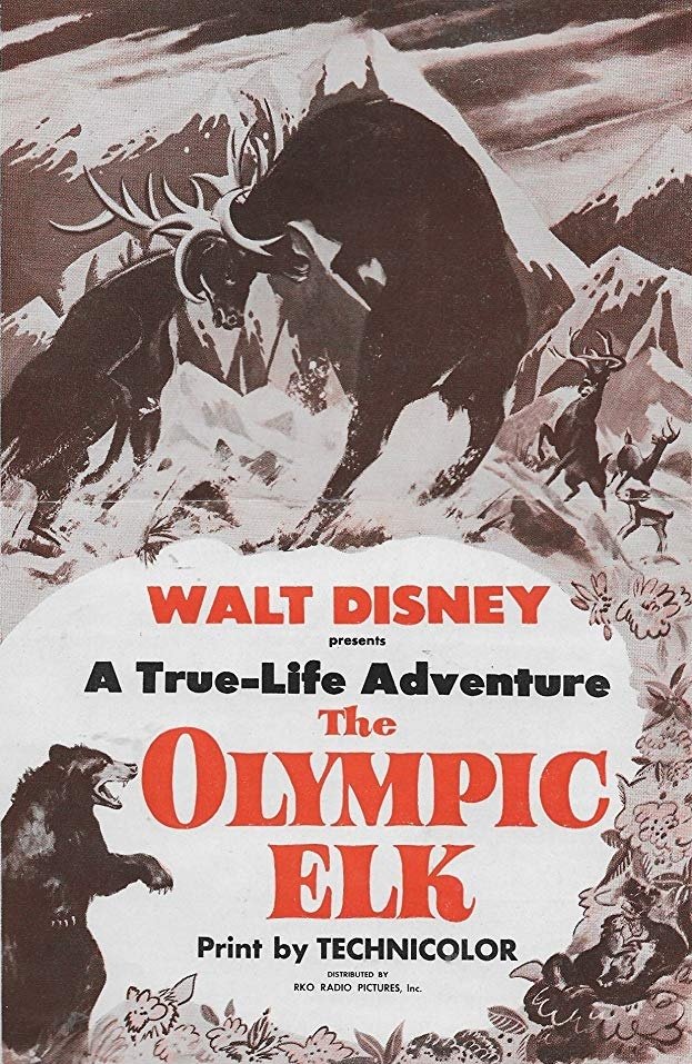 The Olympic Elk