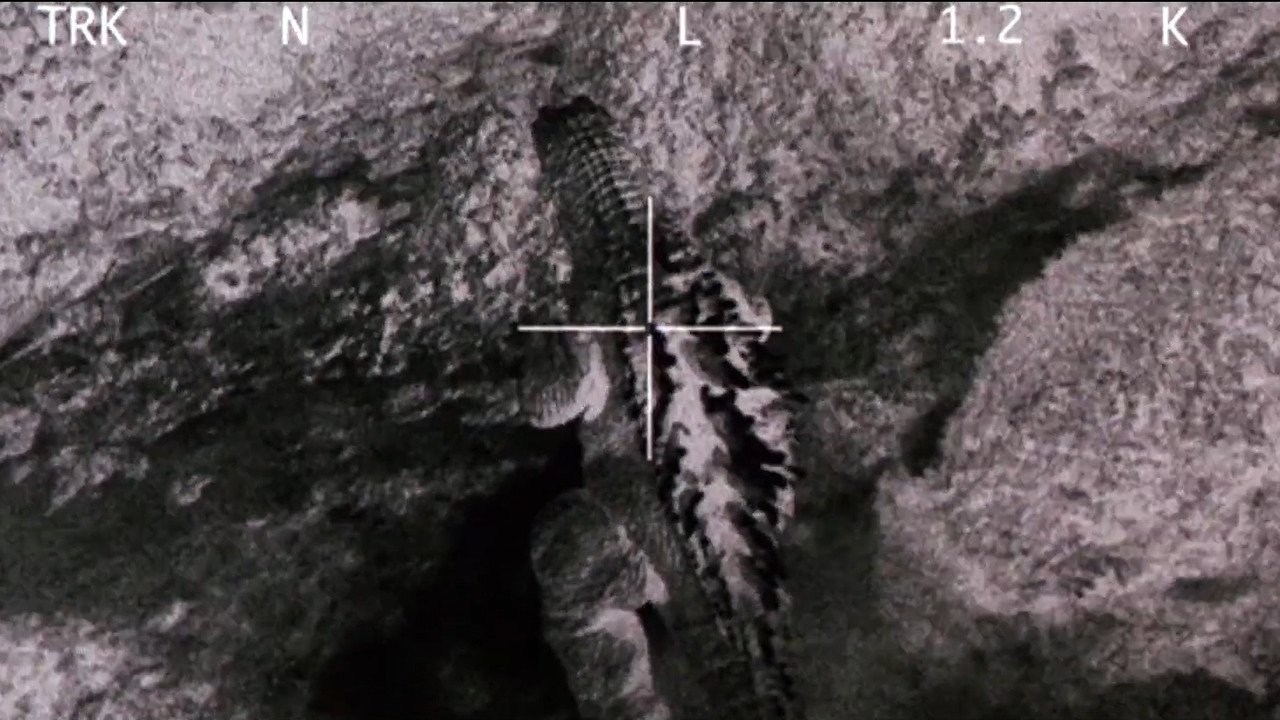 ゴジラ・モスラ・キングギドラ大怪獣総進撃 (2001)