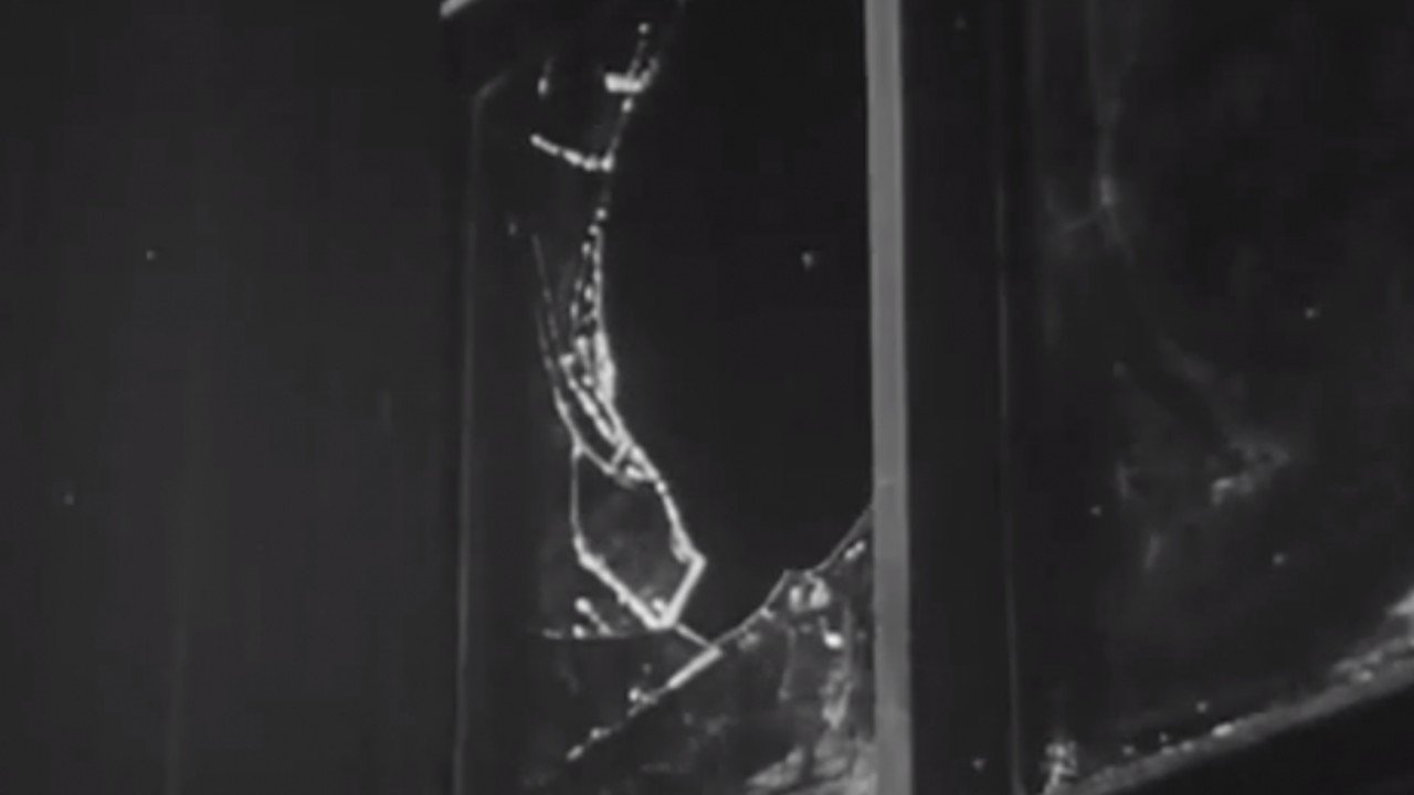 Why Vandalism? (1955)