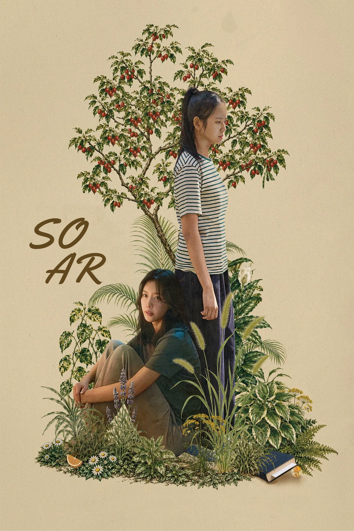 Soar