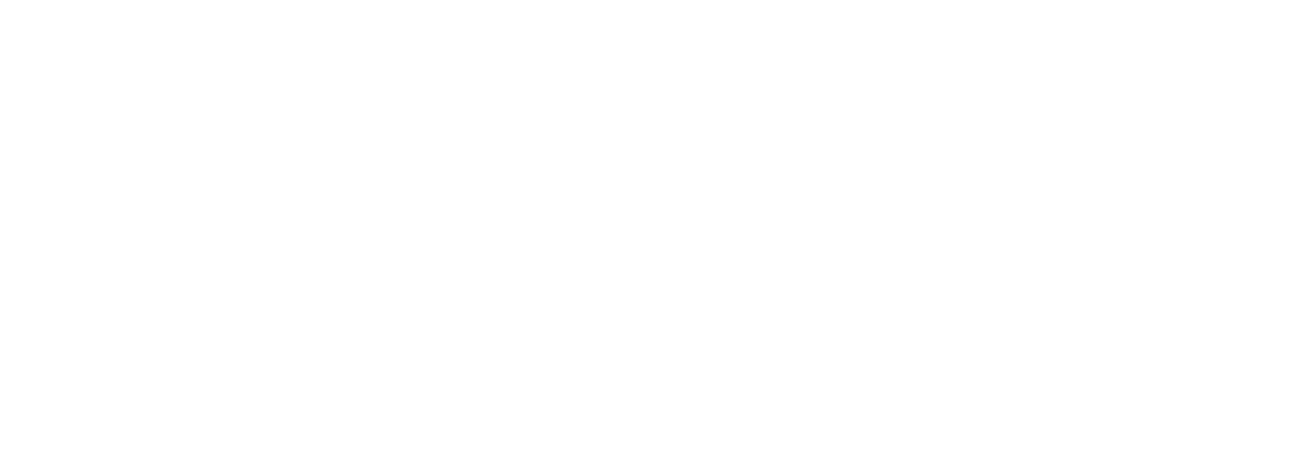 Ms .45 Logo