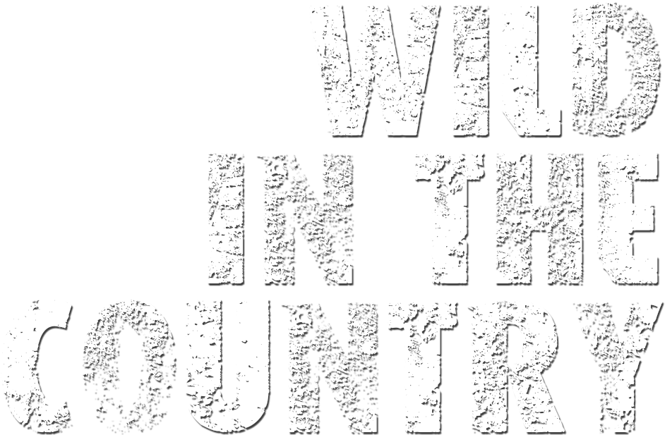 Wild in the Country Logo