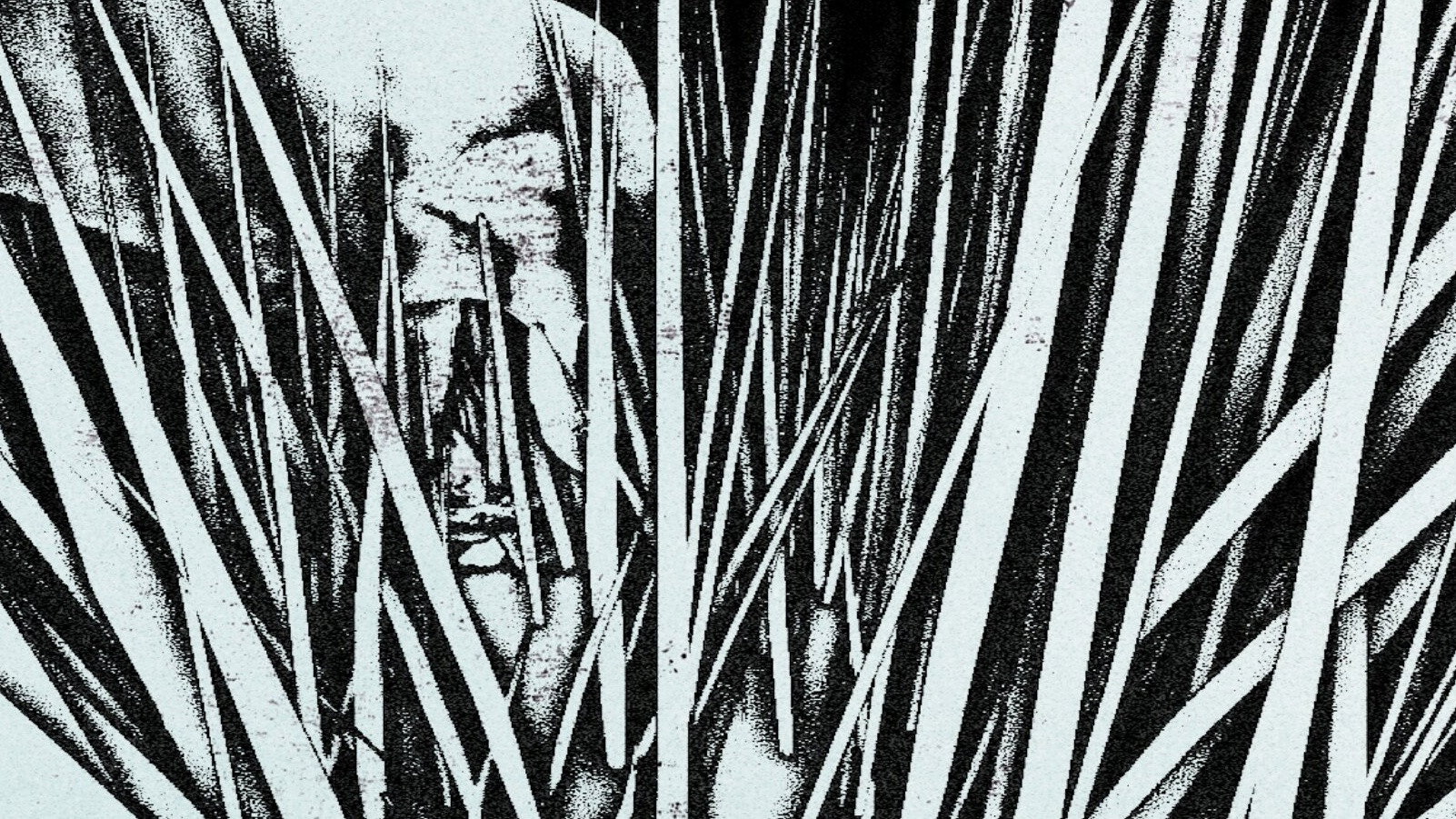 Elephant in a Haystack