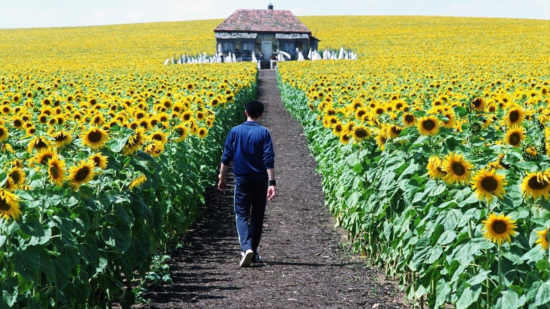 Everything Is Illuminated (2005)