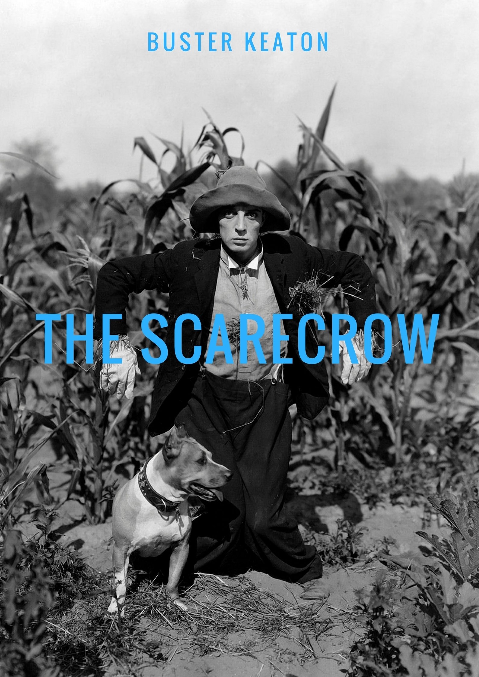 The Scarecrow