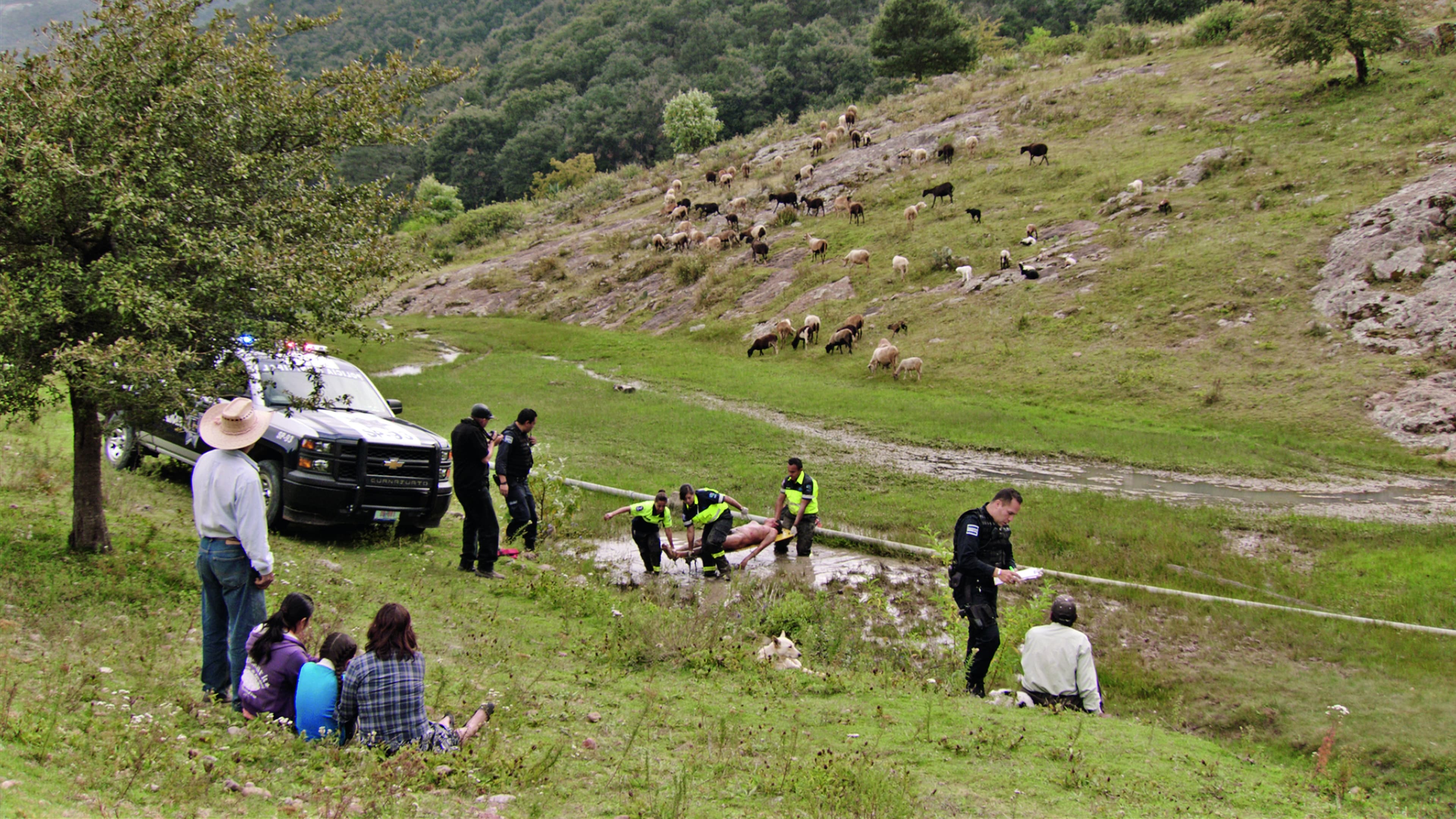 Image du film La Région sauvage hmltkoqqoazpwmzs5mcuwzbhhqejpg