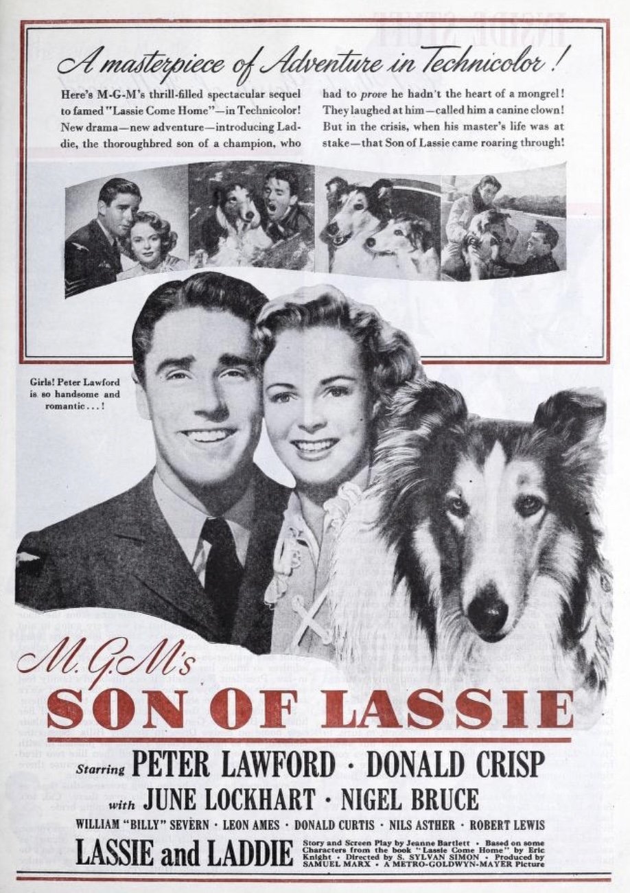 Son of Lassie