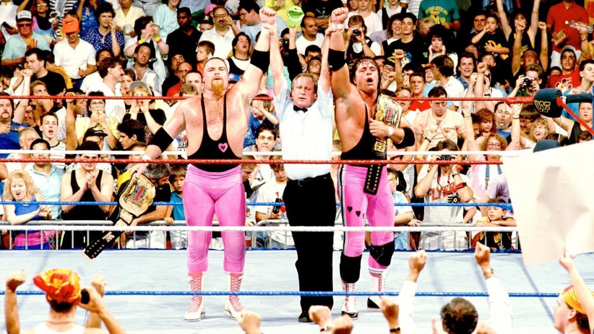 WWE SummerSlam 1990 (1990)