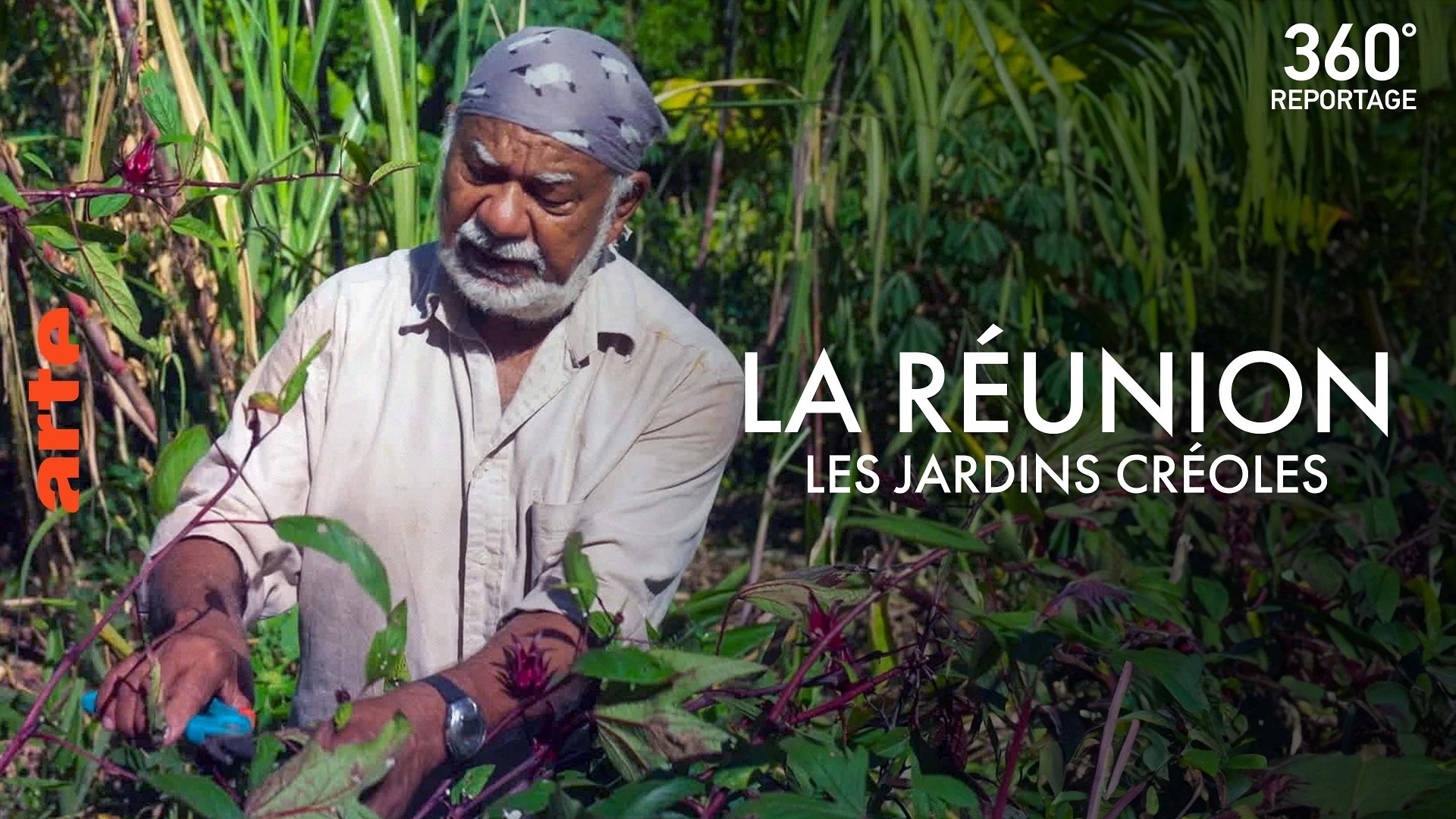 360° - Die GEO Reportage