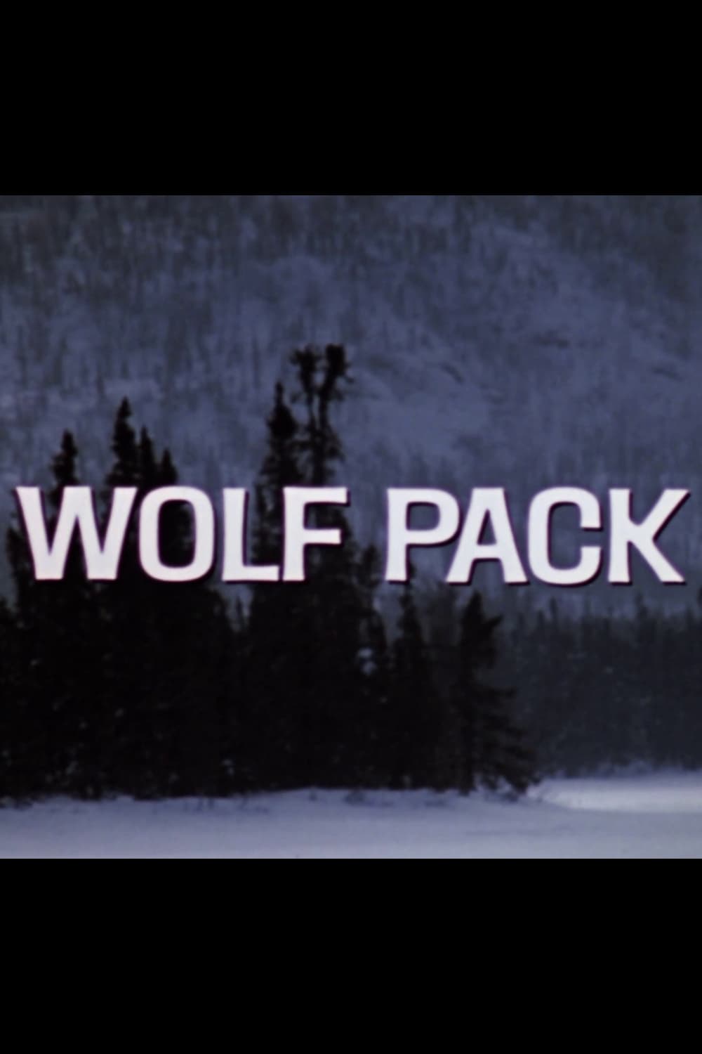 Wolf Pack