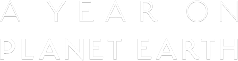 A Year on Planet Earth Logo
