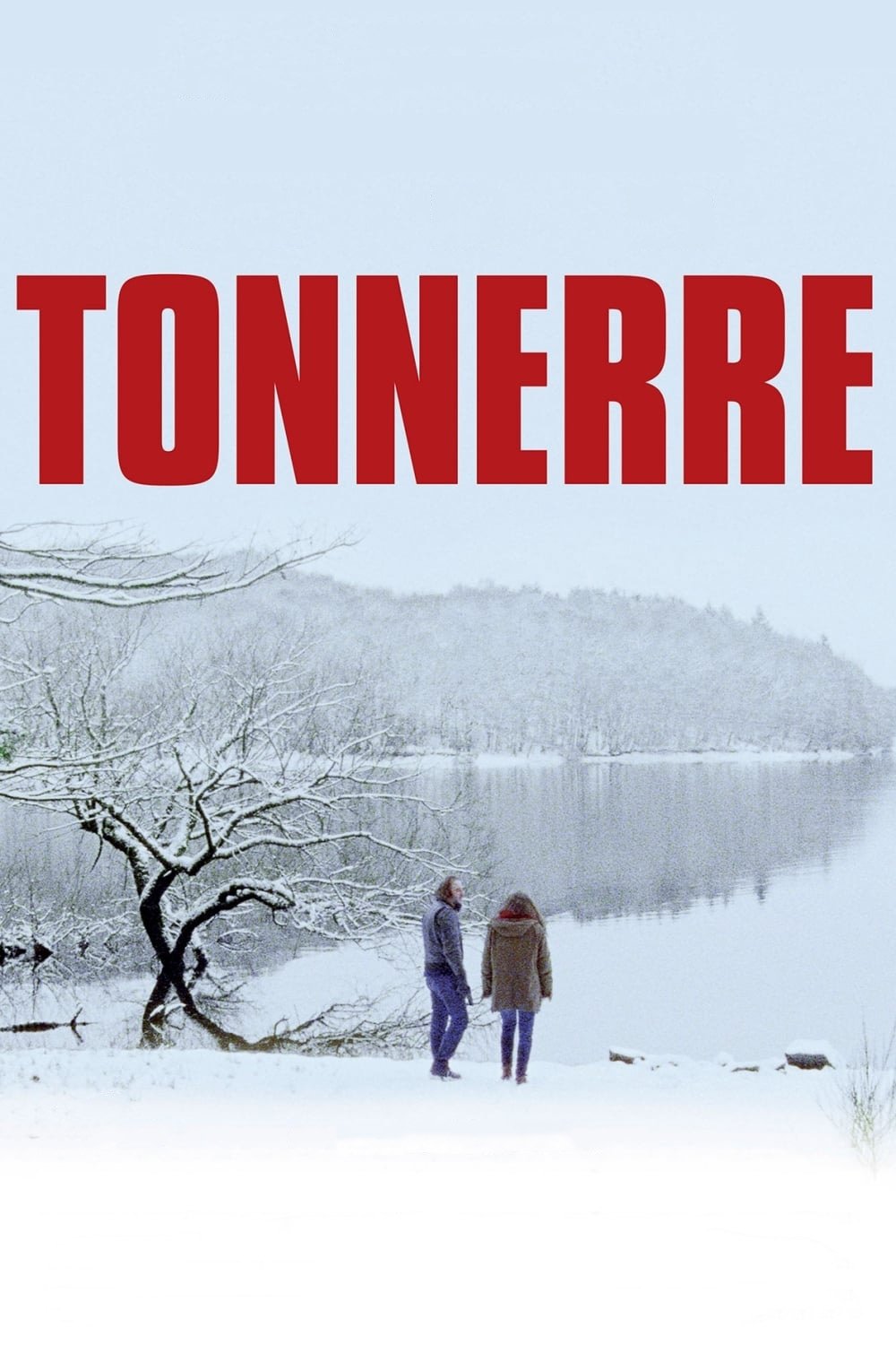 Affiche du film Tonnerre 11387