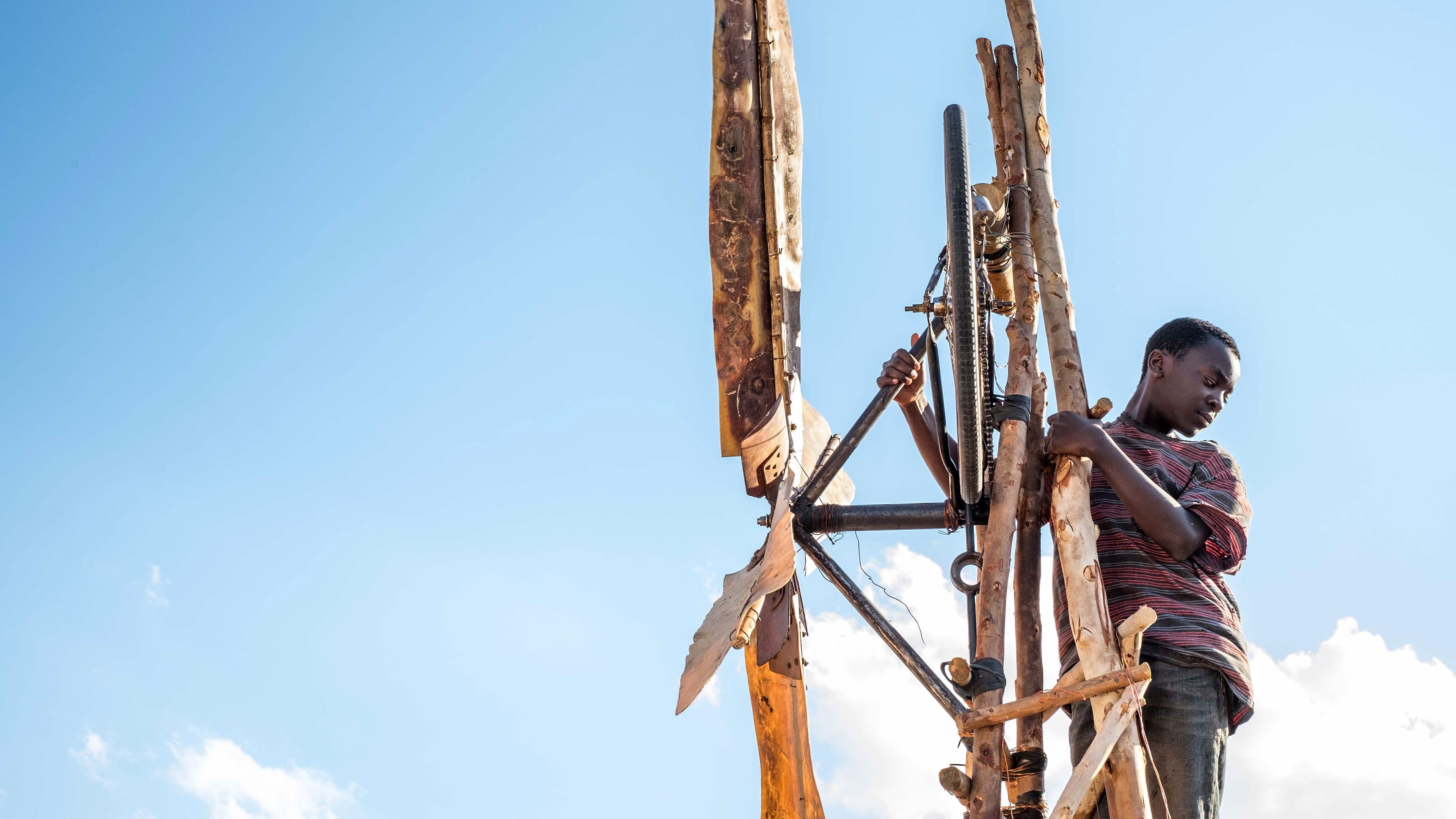 ბიჭი, რომელმაც ქარი მოათვინიერა / The Boy Who Harnessed the Wind