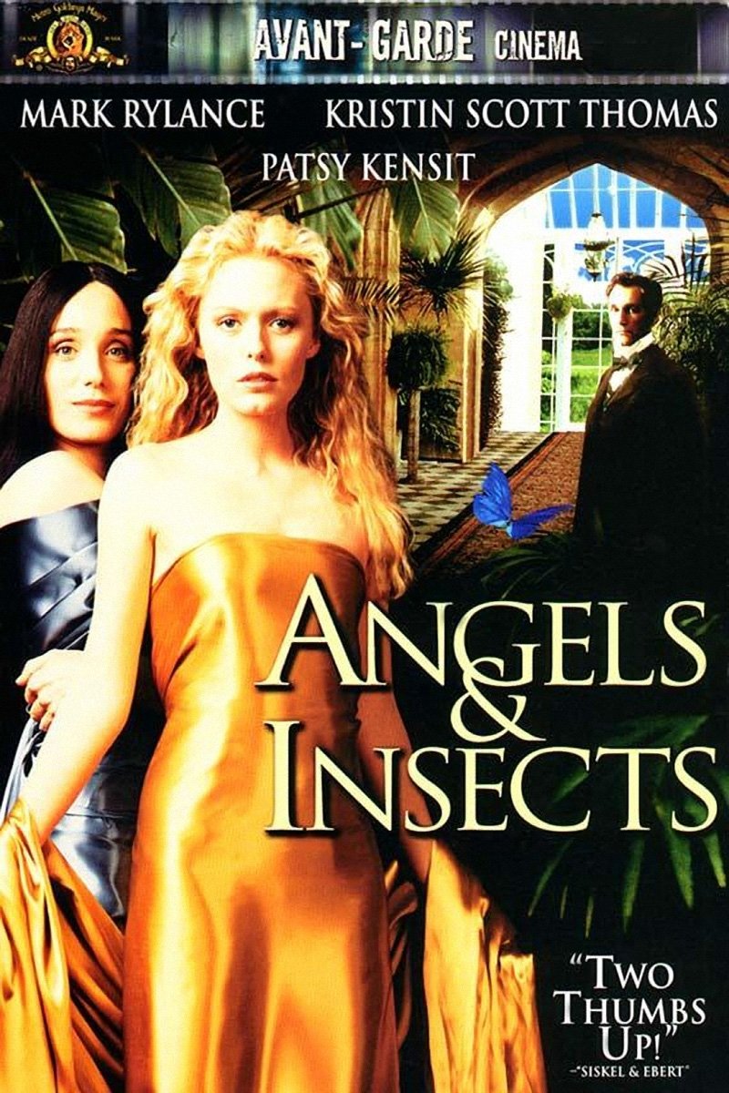 Angels and Insects