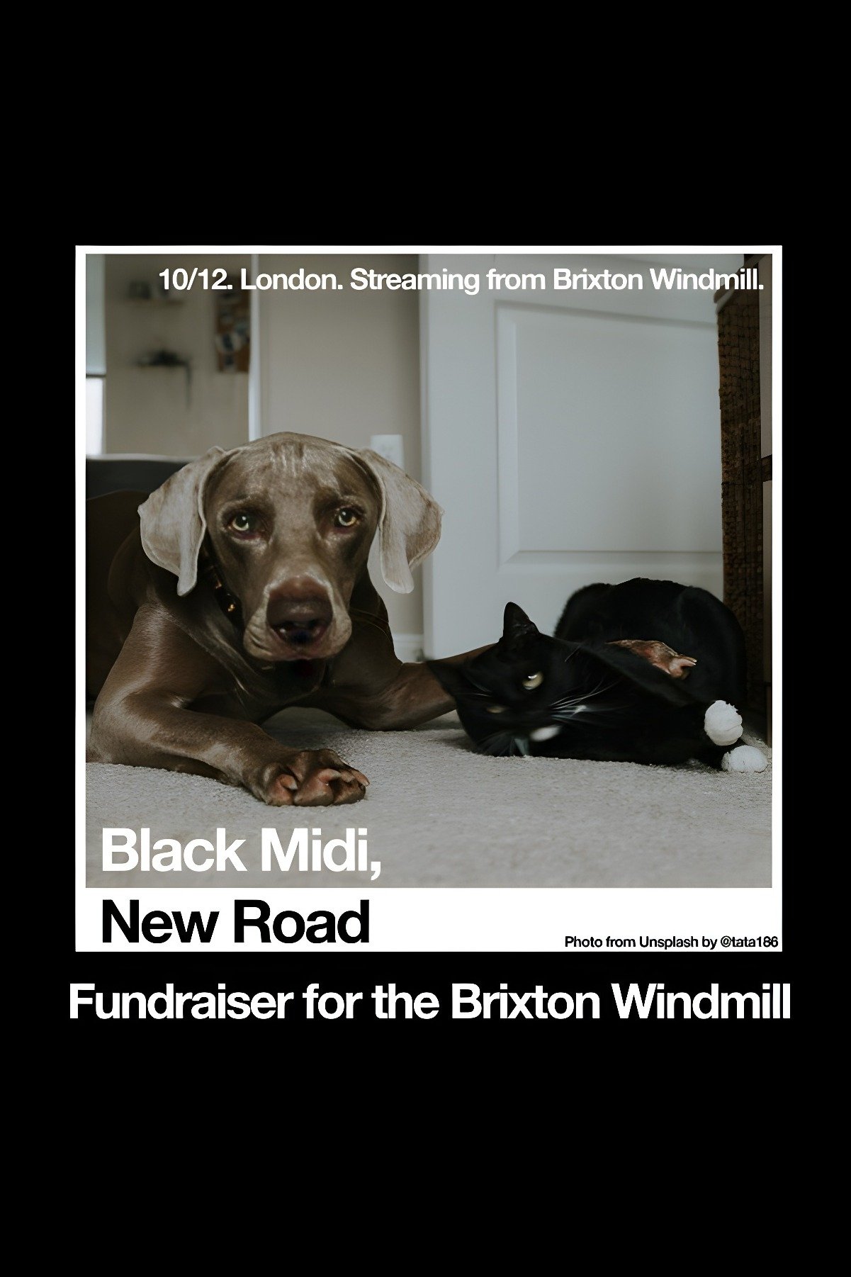Black Midi, New Road: 'Live at The Windmill, Brixton.' Black Midi, New Road: 'Live at The Windmill, Brixton.'