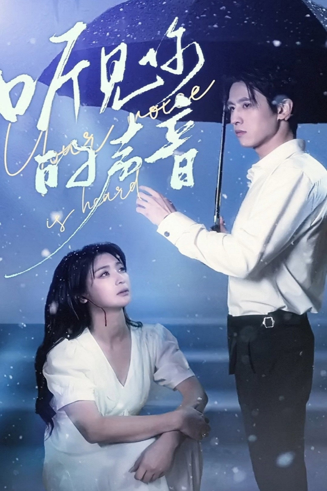 poster tv 听见你的声音