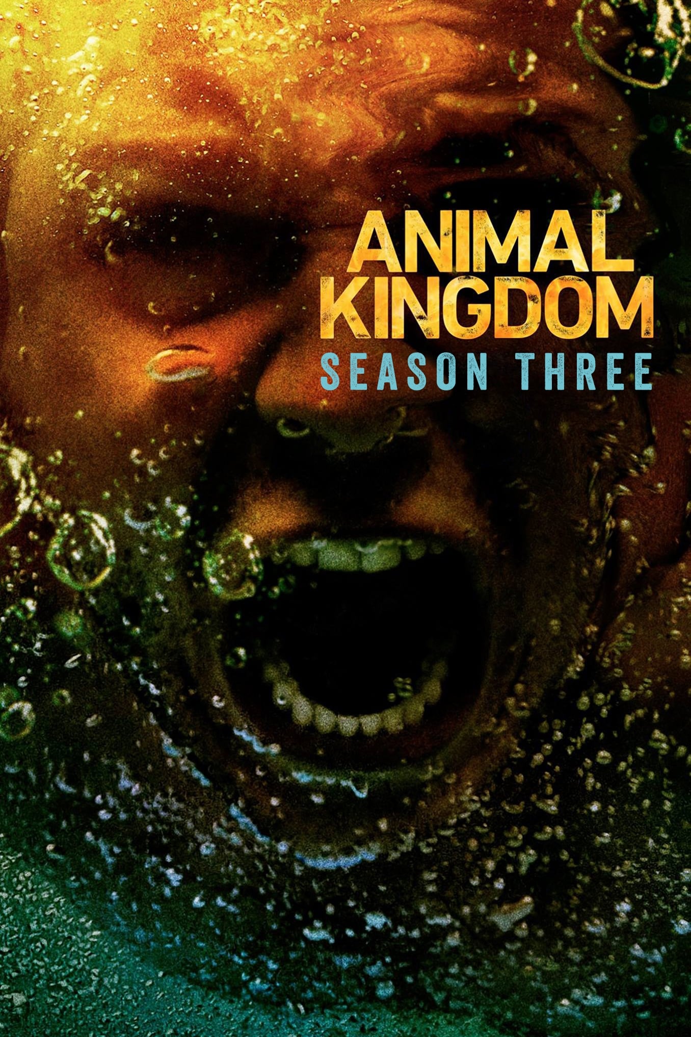 Gyvulių karalystė 3 Sezonas / Animal Kingdom Season 3 (2017)