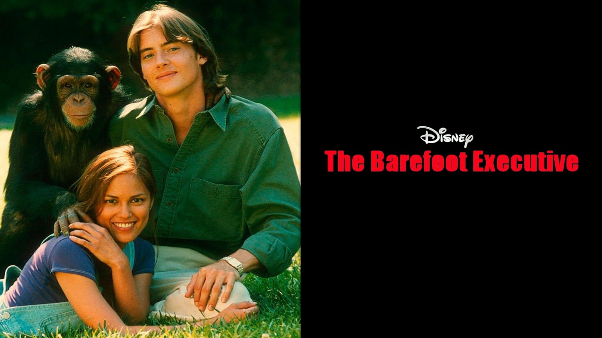 The Barefoot Executive (1995)