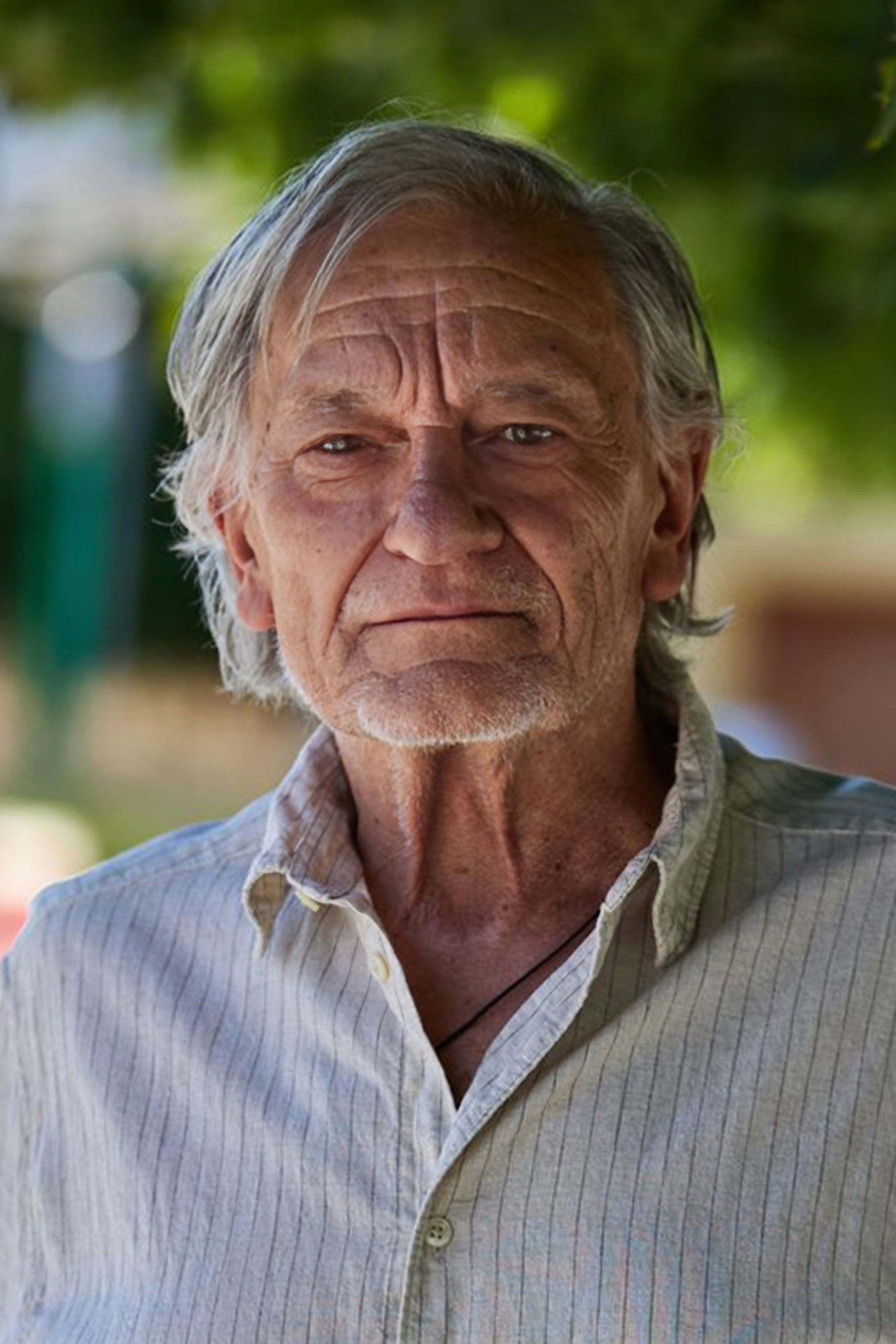 et billede af Andrej Pachinger