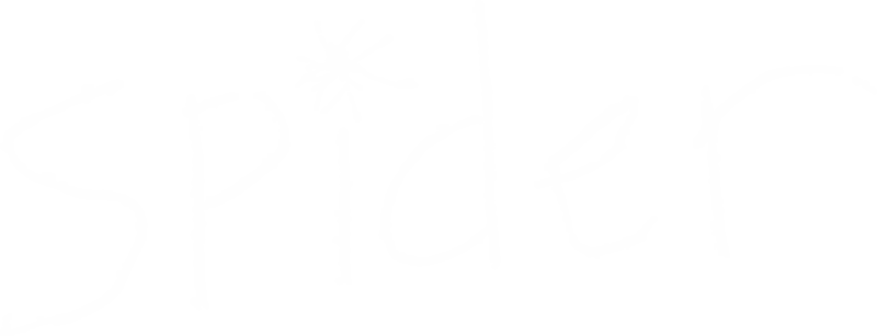 Spider Logo