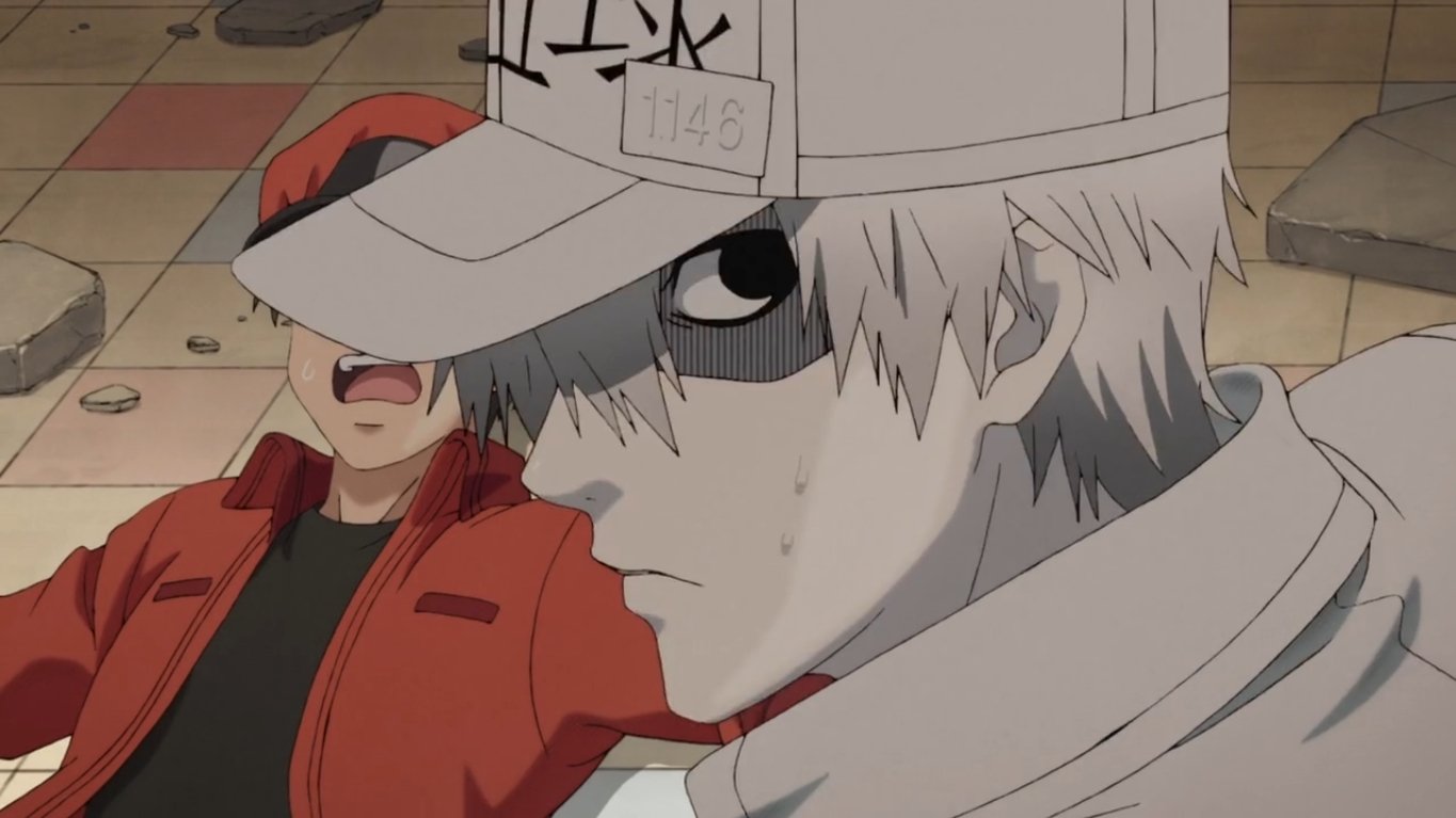 LA CIENCIA DE LA VIDA: Cells at work! [Hataraku Saibou]. Episodio 2. Rasguño