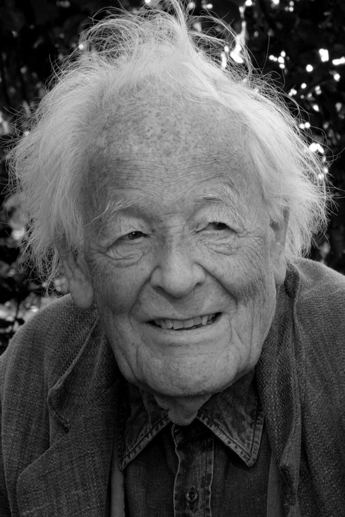 et billede af Hans-Jürgen Syberberg