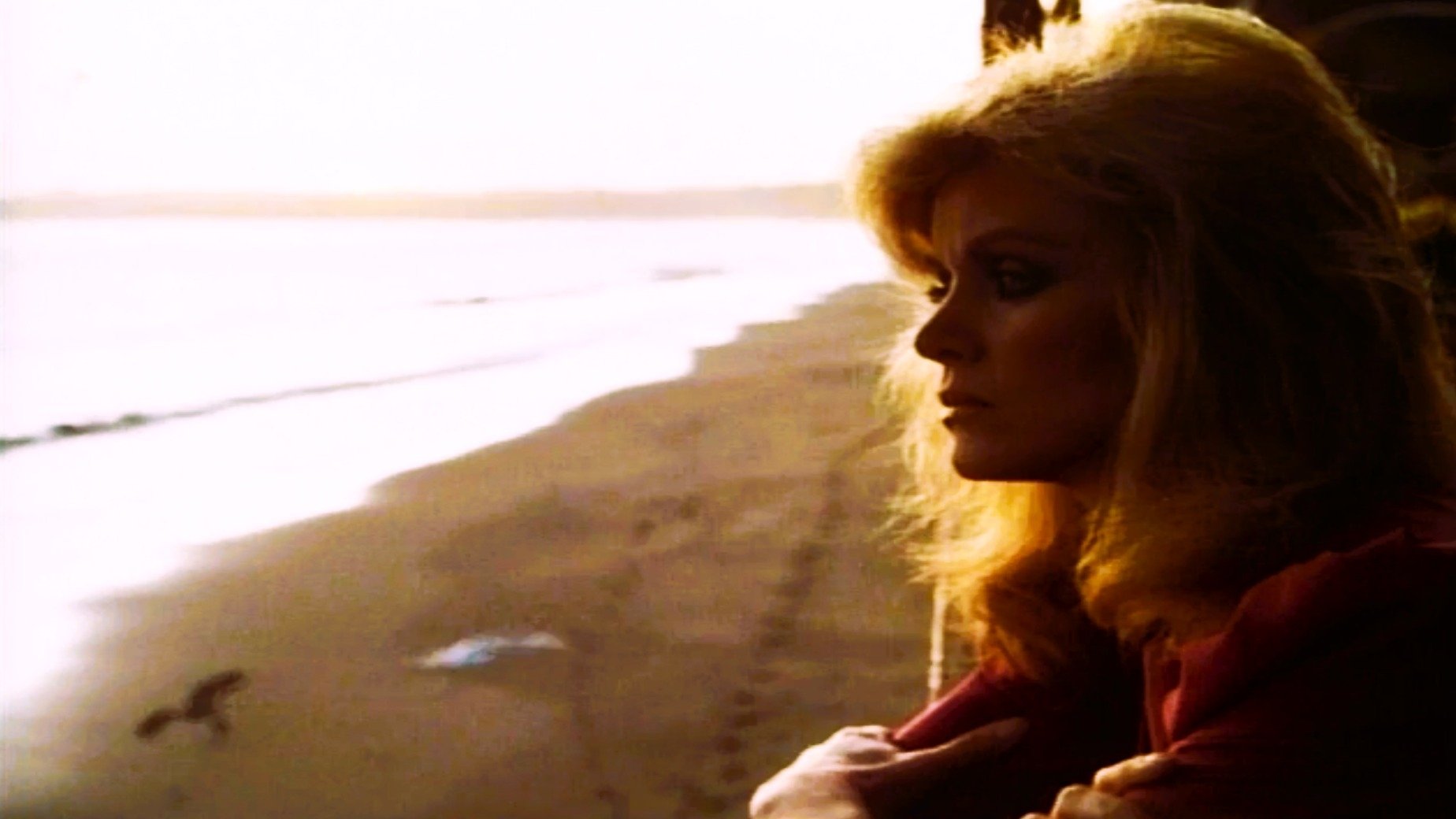 Knots Landing