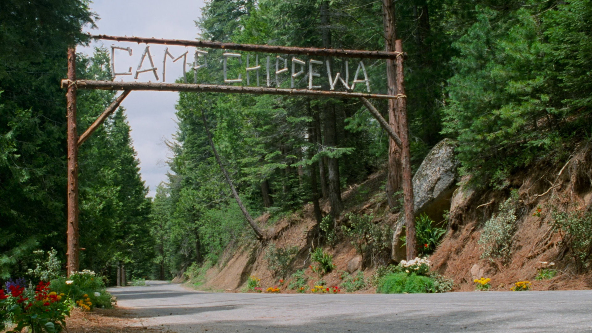 Image 81