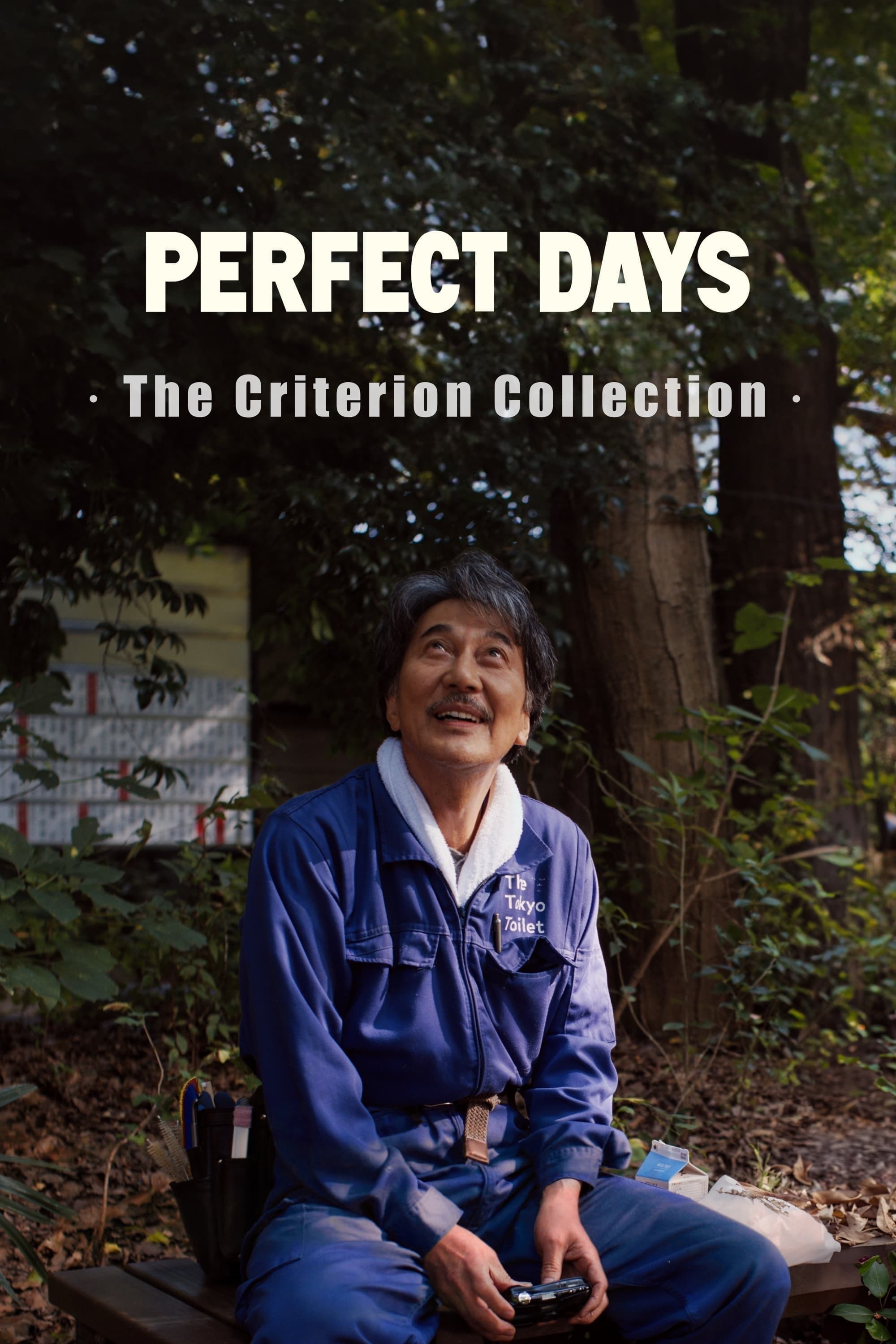 Perfect Days